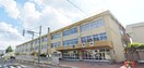 札幌市立小学校 清田緑小学校(小学校)まで857m ノースビレッジ清田Ａ