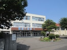 札幌市立しらかば台小学校(小学校)まで389m プチ・メゾンノール