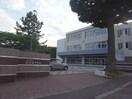 札幌市立北野台中学校(中学校/中等教育学校)まで720m パークロード３５