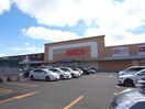ｽｰﾊﾟｰｱｰｸｽ 大曲店(スーパー)まで1233m Patria大曲