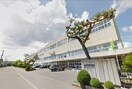 札幌市立清田南小学校(小学校)まで495m 清田サンハイム６
