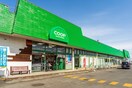 ｺーﾌﾟさっぽろ北広島店(スーパー)まで336m 千歳線/北広島駅 徒歩17分 2階 築17年