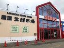 ｾﾘｵおおまがり店(スーパー)まで759m ASITA大曲