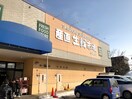 産直生鮮市場 平岡店(スーパー)まで641m シャーメゾン平岡