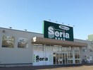 ｾﾘｱ 平岡店(スーパー)まで825m シャーメゾン平岡