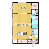 ネコフィーノ・キキ