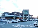 よかもんね城南店(スーパー)まで1350m ドリームハイツⅡ