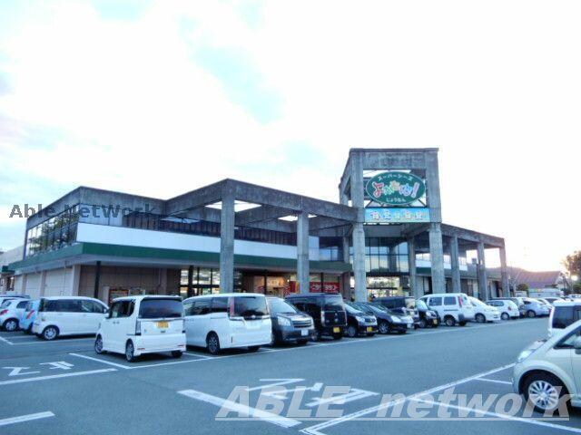 よかもんね！じょうなん(スーパー)まで355m アミティコ　キャステッロⅠ