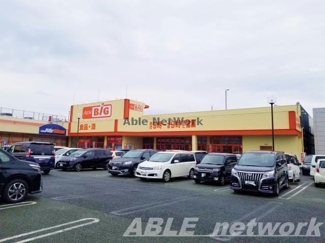 ザ・ビッグ熊本南店(ディスカウントショップ)まで775m アザックひらた