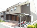 アングレカムC