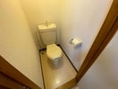  プラシーボ蓮台寺