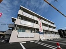 オレンジの外観