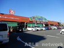 マルエイ近見店(スーパー)まで1731m Laule’a