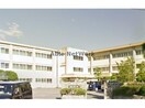 安城市立錦町小学校(小学校)まで1000m プルミエールＢ