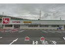 スギ薬局富士松店(ドラッグストア)まで936m コンフォルト