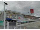 DCM刈谷店(電気量販店/ホームセンター)まで3086m コンフォルト