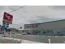 スギドラッグ東刈谷店(ドラッグストア)まで746m サンパティーク大脇