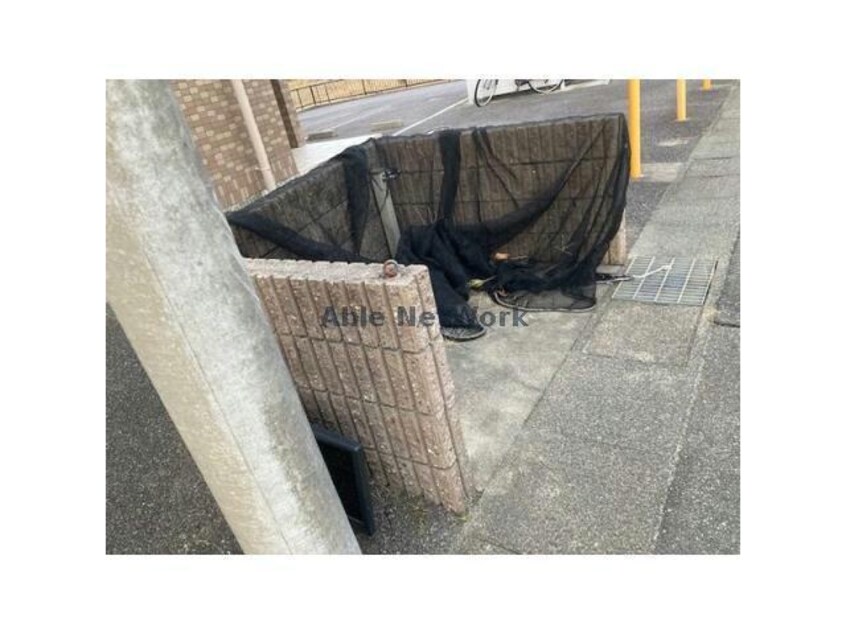  ロイヤルサルビア