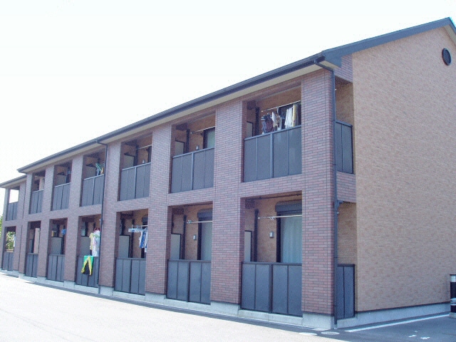  アンプルール　リーブル　Soleado