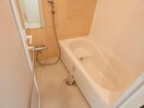 502 Foret A