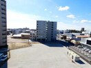 502 Foret A