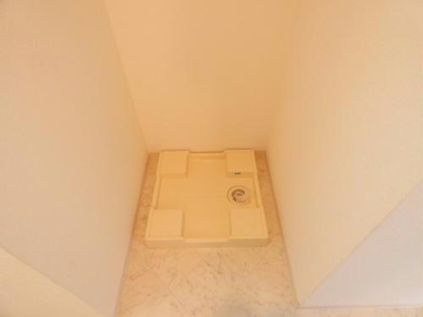 502 Foret A