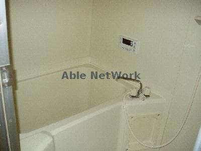 同型タイプ Surplus Two Amano