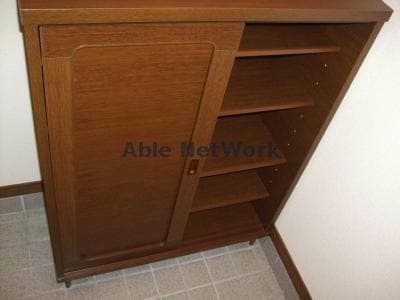 同型タイプ Surplus Two Amano