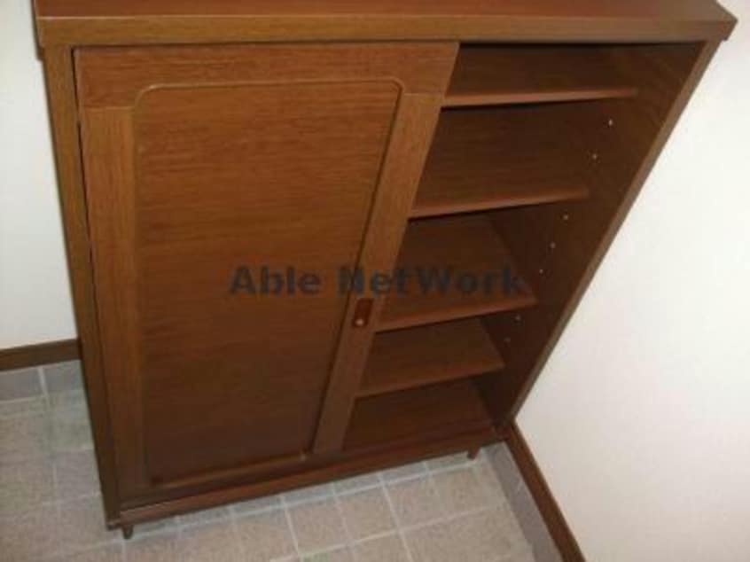 同型タイプ Surplus Two Amano