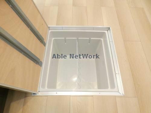 101 ホワイトベリー