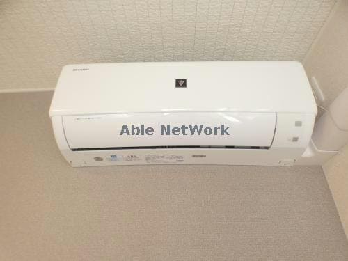 101 ホワイトベリー