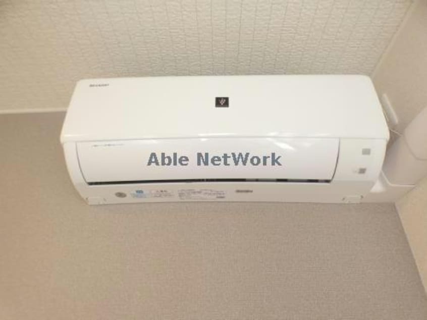 101 ホワイトベリー