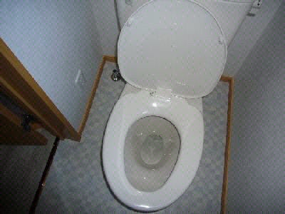 トイレ同型タイプ オキノ・Ａpartment