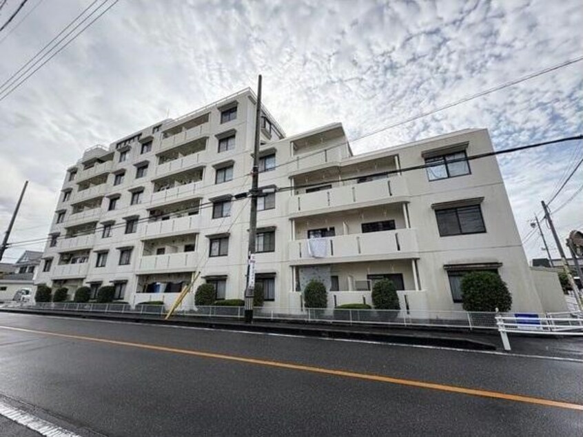  センチュリーコート緑