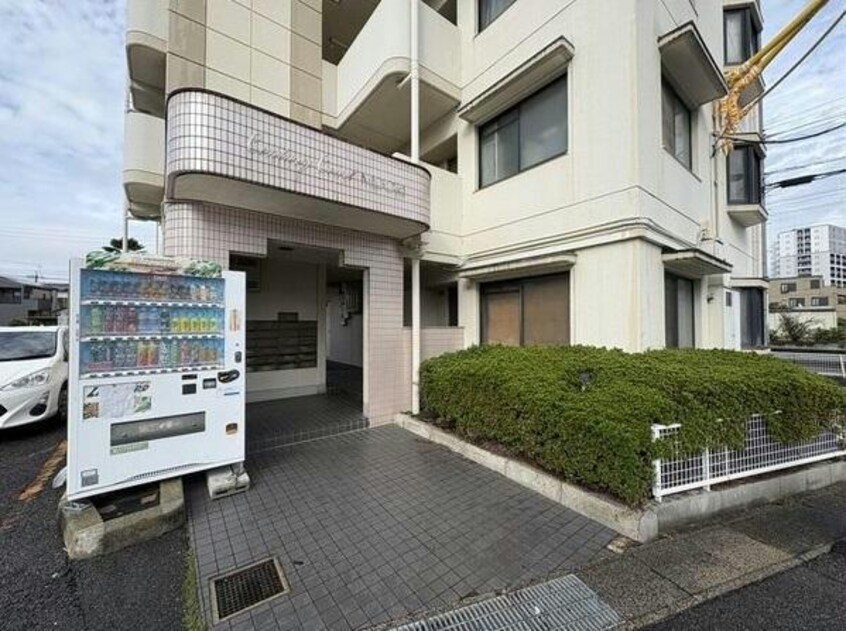  センチュリーコート緑