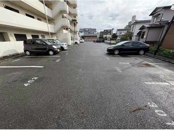  センチュリーコート緑