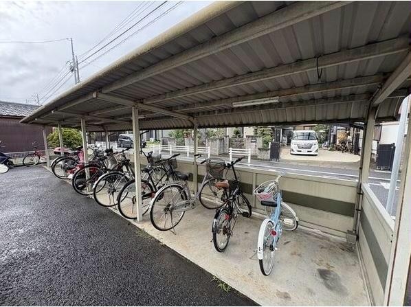  センチュリーコート緑