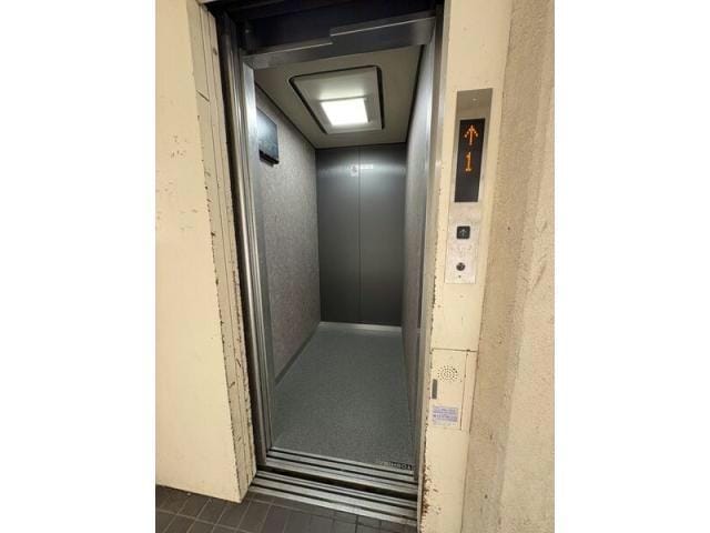  センチュリーコート緑