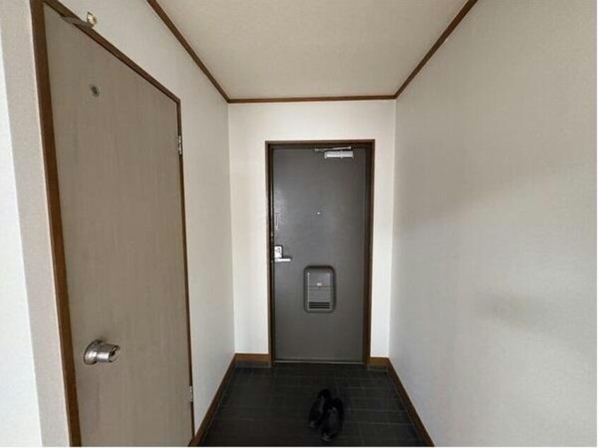  センチュリーコート緑