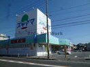 ドラッグスギヤマ安城店(ドラッグストア)まで764m 百石町２丁目貸事務所