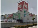 スギ薬局深田店(ドラッグストア)まで1065m マカリイ