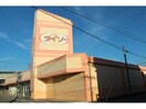 ザ・ダイソー安城南店(ディスカウントショップ)まで577m プラムビレッジⅡ