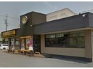 CoCo壱番屋安城住吉店(その他飲食（ファミレスなど）)まで185m サンオークスＶＯＶＯ