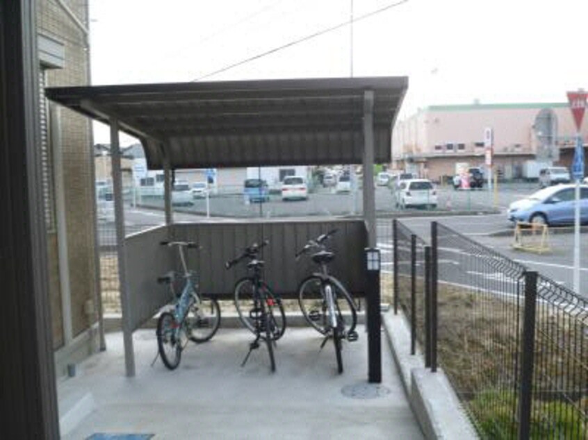  セジュール　ココア