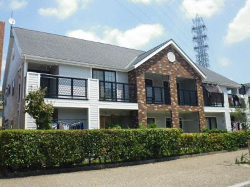  フォレスト作野