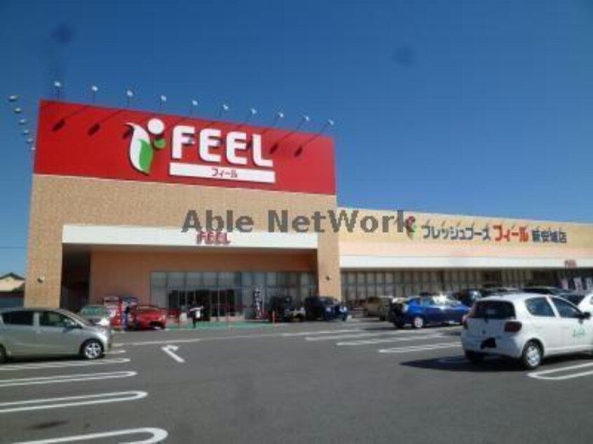 フィール新安城店(スーパー)まで363m メゾンソレイユ