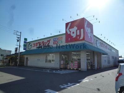 スギドラッグ安城錦町店(ドラッグストア)まで885m カーナ・若宮