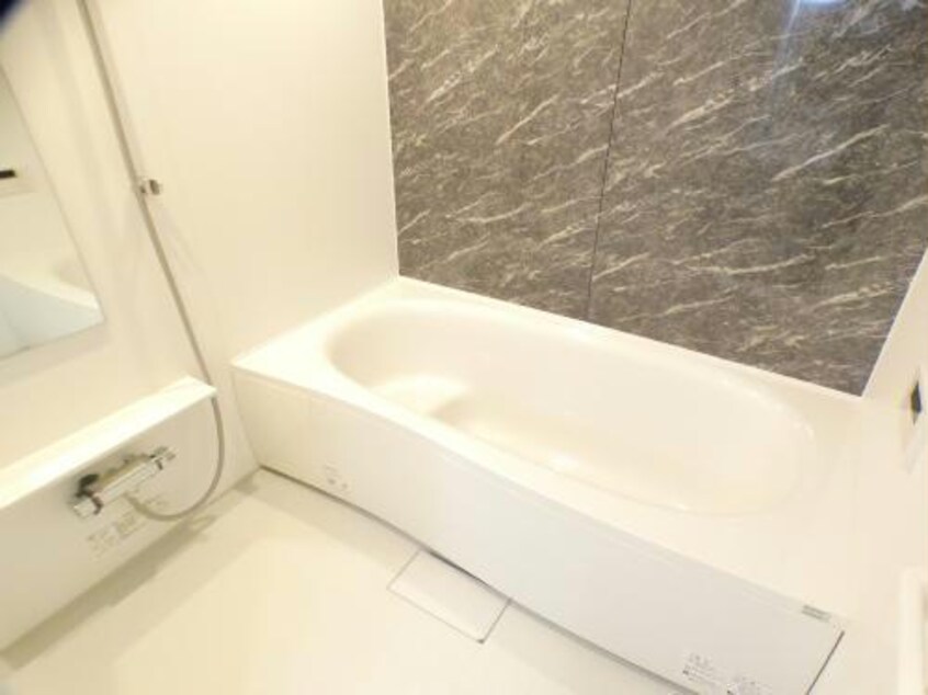 同型タイプ ジャックブルー