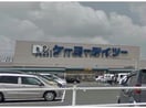 ケーヨーデイツー高浜店(電気量販店/ホームセンター)まで1174m レジデンスあおみ