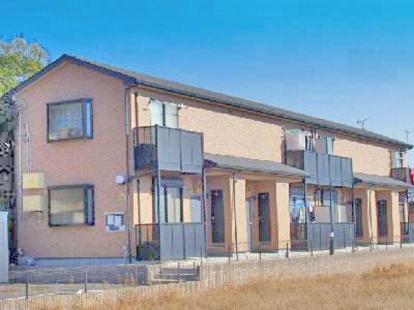  アンプルールリーブルpaseo